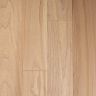 Elm Arrow