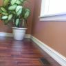 Flooring - Maple (44)